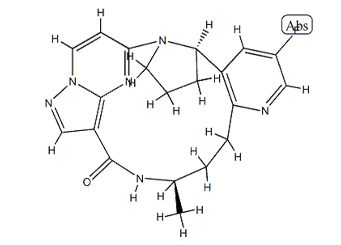 產(chǎn)品名稱